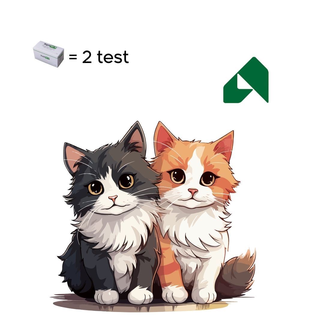 GRUPPO SANGUIGNO DEL GATTO (test di agglutinazione rapida)